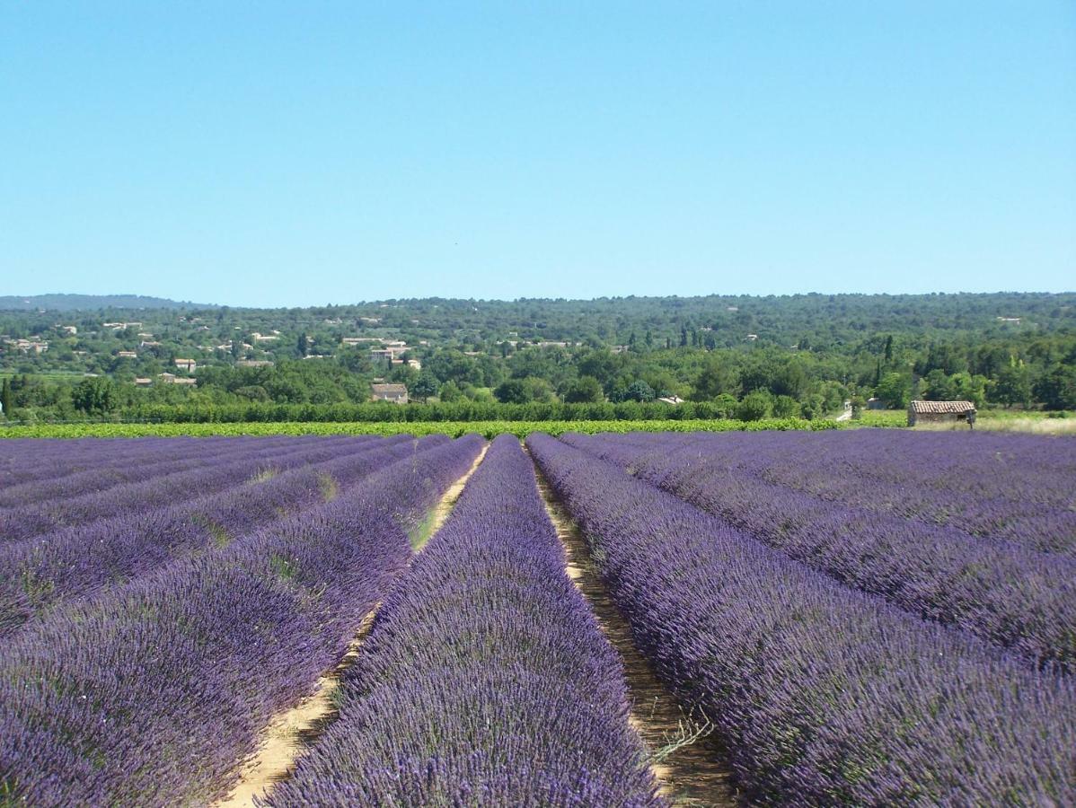 Le Verger Gordes Esterno foto